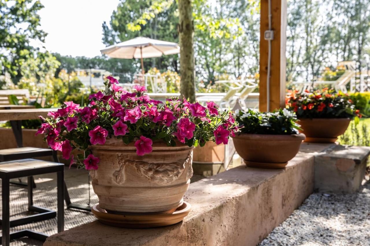 Vecchio Granaio Bed & Breakfast Pisa Luaran gambar