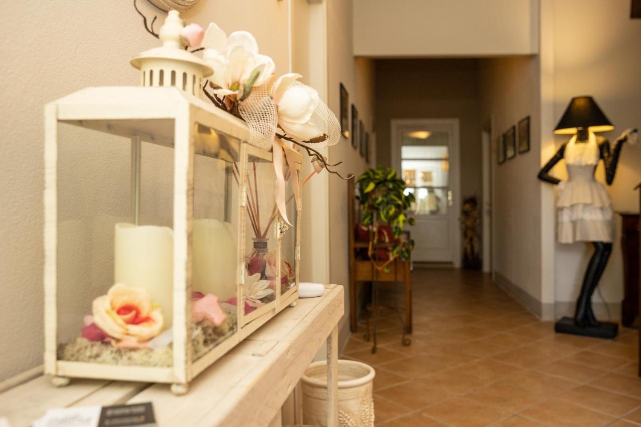 Vecchio Granaio Bed & Breakfast Pisa Luaran gambar